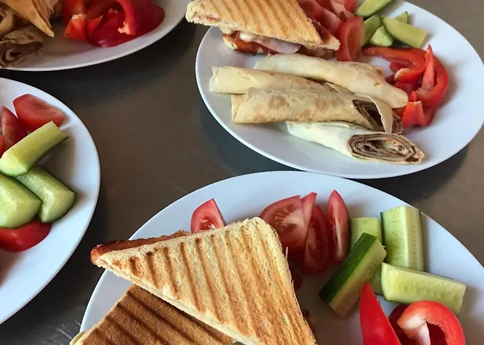 Plaz Vyton Auberge de jeunesse Přední Výtoň